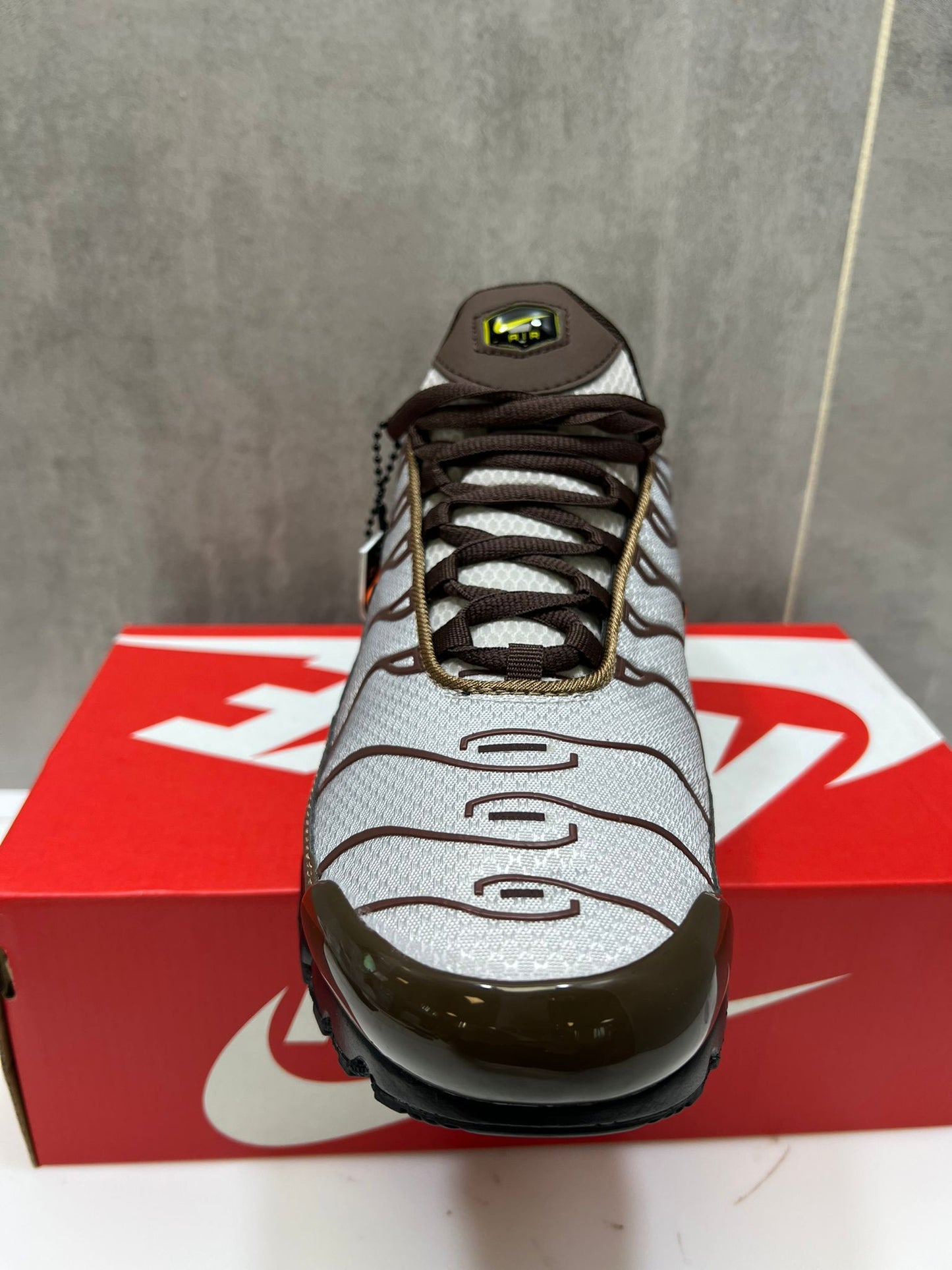 Nike Air Max Plus TN Brown & Beige Running Shoes