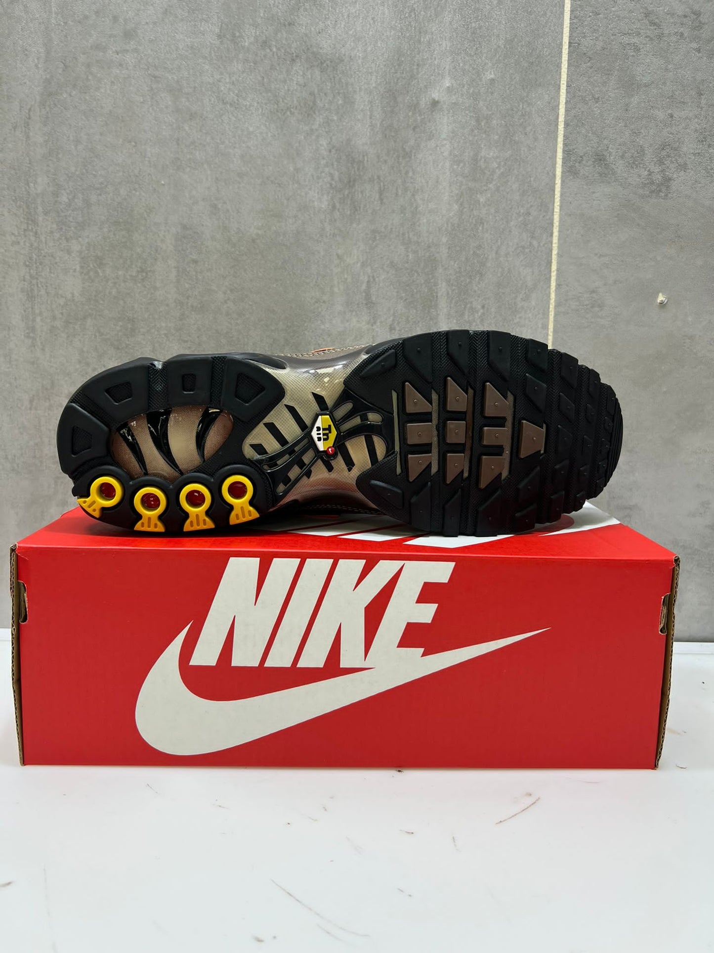 Nike Air Max Plus TN Brown & Beige Running Shoes