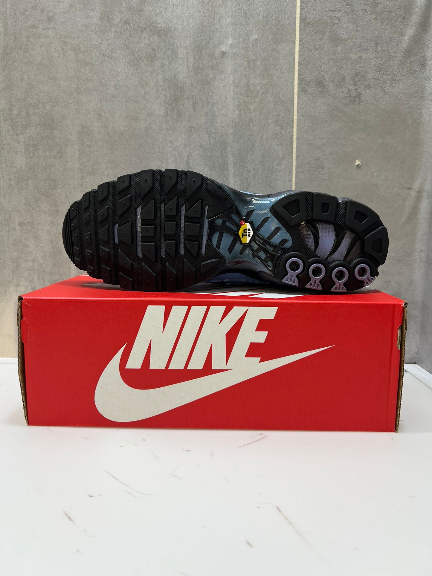 Nike Air Max Plus TN Sky Blue Black Mesh Trainers
